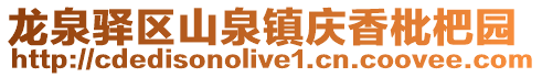 龍泉驛區(qū)山泉鎮(zhèn)慶香枇杷園