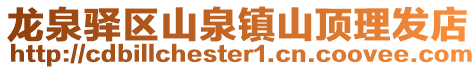 龍泉驛區(qū)山泉鎮(zhèn)山頂理發(fā)店