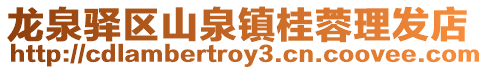 龍泉驛區山泉鎮桂蓉理發店