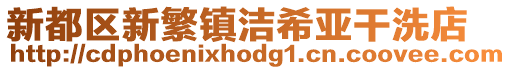 新都區(qū)新繁鎮(zhèn)潔希亞干洗店