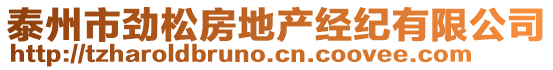 泰州市勁松房地產(chǎn)經(jīng)紀(jì)有限公司