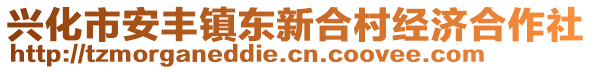 興化市安豐鎮(zhèn)東新合村經(jīng)濟(jì)合作社