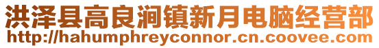 洪泽县高良涧镇新月电脑经营部