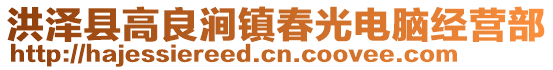 洪澤縣高良澗鎮(zhèn)春光電腦經(jīng)營(yíng)部