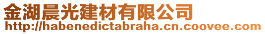 金湖晨光建材有限公司