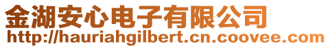 金湖安心电子有限公司