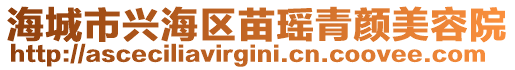 海城市興海區(qū)苗瑤青顏美容院