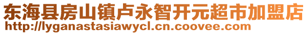 東海縣房山鎮(zhèn)盧永智開元超市加盟店