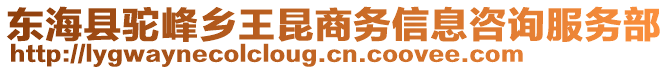 東海縣駝峰鄉(xiāng)王昆商務信息咨詢服務部