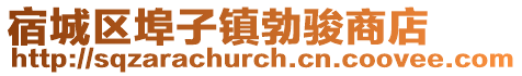 宿城区埠子镇勃骏商店