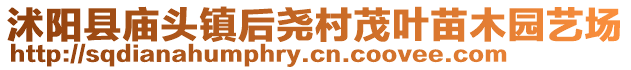 沭阳县庙头镇后尧村茂叶苗木园艺场