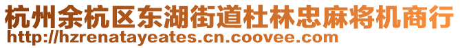 杭州余杭區(qū)東湖街道杜林忠麻將機(jī)商行