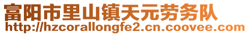 富陽(yáng)市里山鎮(zhèn)天元?jiǎng)趧?wù)隊(duì)