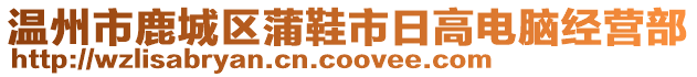 溫州市鹿城區(qū)蒲鞋市日高電腦經(jīng)營部