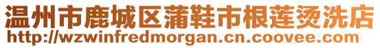 溫州市鹿城區(qū)蒲鞋市根蓮燙洗店