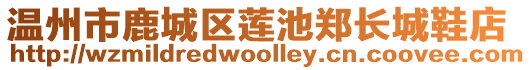 溫州市鹿城區(qū)蓮池鄭長城鞋店