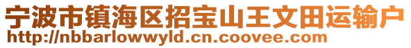 寧波市鎮(zhèn)海區(qū)招寶山王文田運輸戶