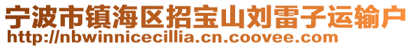 寧波市鎮(zhèn)海區(qū)招寶山劉雷子運輸戶