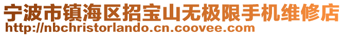 寧波市鎮(zhèn)海區(qū)招寶山無(wú)極限手機(jī)維修店