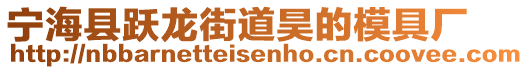 寧海縣躍龍街道昊的模具廠