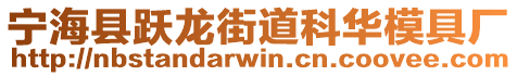 宁海县跃龙街道科华模具厂