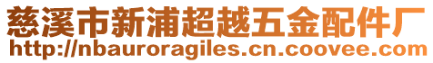 慈溪市新浦超越五金配件廠