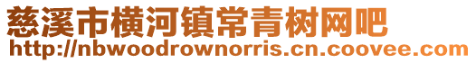 慈溪市橫河鎮(zhèn)常青樹網(wǎng)吧