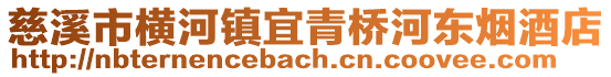 慈溪市橫河鎮宜青橋河東煙酒店