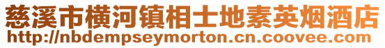 慈溪市橫河鎮相士地素英煙酒店