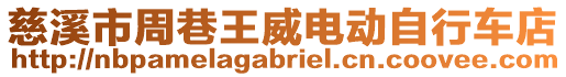 慈溪市周巷王威電動自行車店