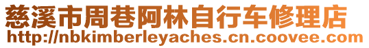 慈溪市周巷阿林自行車修理店