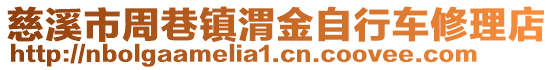 慈溪市周巷鎮渭金自行車修理店