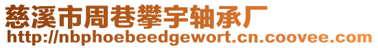 慈溪市周巷攀宇軸承廠