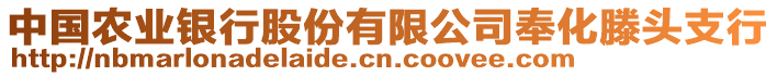 中國農(nóng)業(yè)銀行股份有限公司奉化滕頭支行