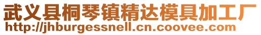 武義縣桐琴鎮(zhèn)精達(dá)模具加工廠