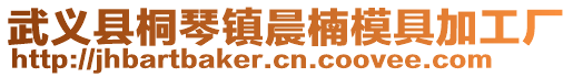 武義縣桐琴鎮晨楠模具加工廠