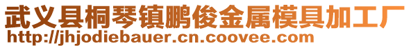 武義縣桐琴鎮鵬俊金屬模具加工廠