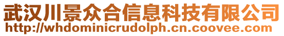 武漢川景眾合信息科技有限公司