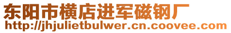 東陽市橫店進軍磁鋼廠