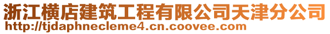 浙江横店建筑工程有限公司天津分公司