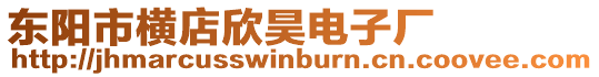 東陽市橫店欣昊電子廠