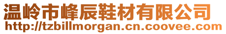 溫嶺市峰辰鞋材有限公司