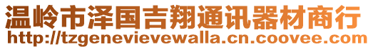 溫嶺市澤國吉翔通訊器材商行