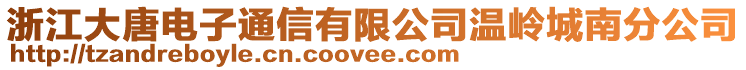 浙江大唐電子通信有限公司溫嶺城南分公司