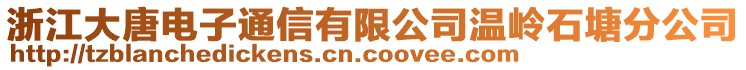 浙江大唐電子通信有限公司溫嶺石塘分公司