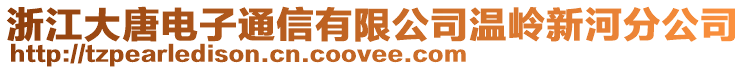 浙江大唐電子通信有限公司溫嶺新河分公司