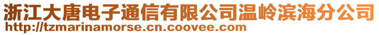 浙江大唐電子通信有限公司溫嶺濱海分公司