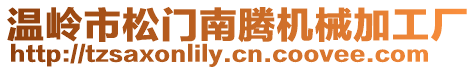 溫嶺市松門南騰機械加工廠