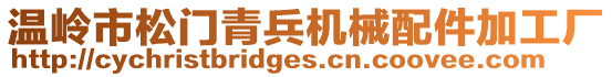 溫嶺市松門青兵機械配件加工廠