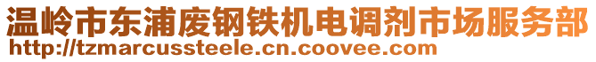 溫嶺市東浦廢鋼鐵機電調(diào)劑市場服務部